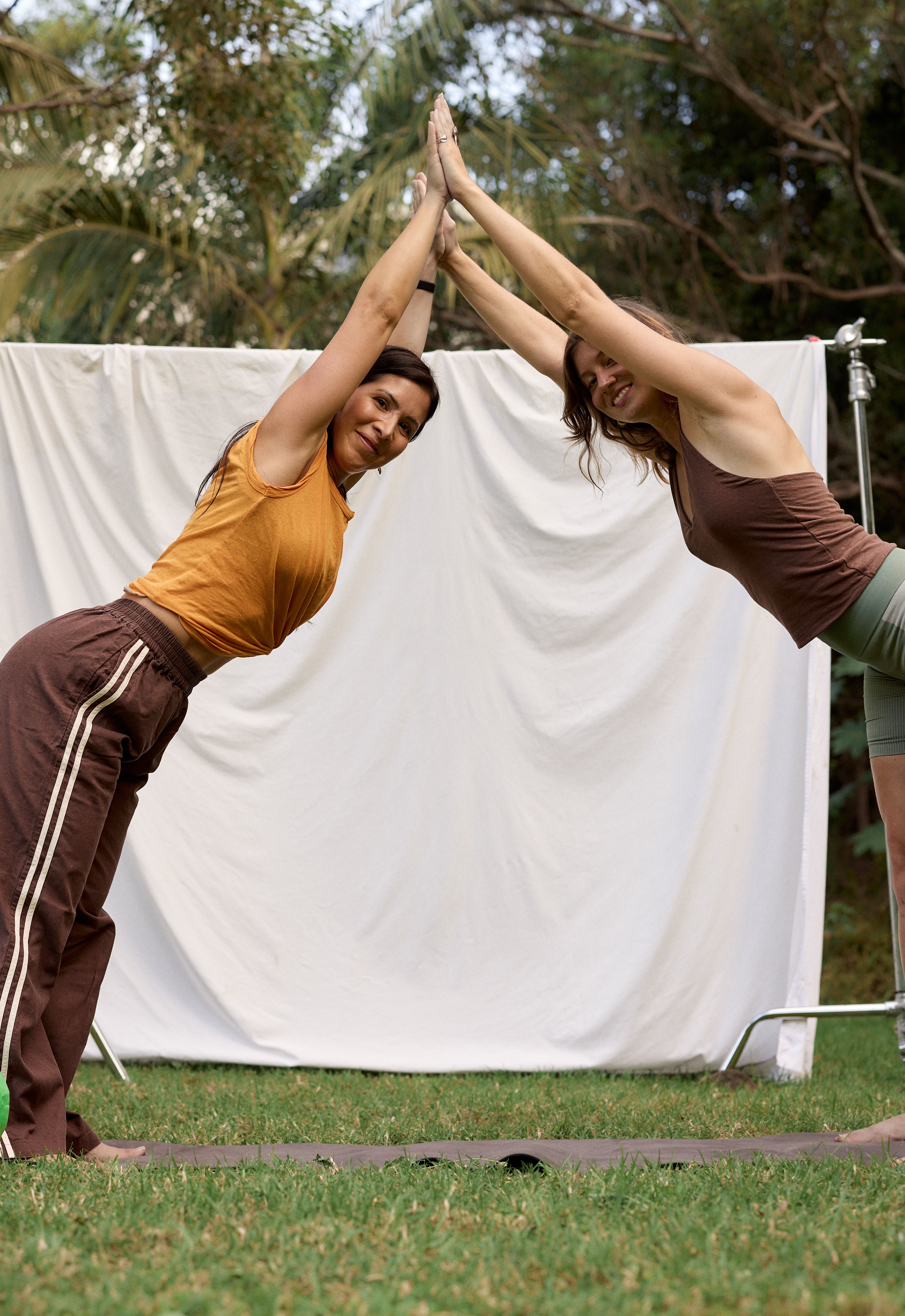 Limber studio